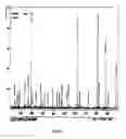 Fig. 06 - Method for the detection of cancer cells by localization of peptides in nucleus as compared to cytoplasm