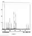 Fig. 07 - Method for the detection of cancer cells by localization of peptides in nucleus as compared to cytoplasm