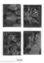Fig. 78 - Method for the detection of cancer cells by localization of peptides in nucleus as compared to cytoplasm