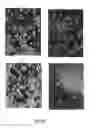 Fig. 79 - Method for the detection of cancer cells by localization of peptides in nucleus as compared to cytoplasm