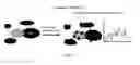 Fig. 08 - HIGH THROUGHPUT DETECTION OF FUSION PROTEINS