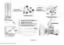 Fig. 02 - QUANTITATIVE ANALYSIS OF TRANSGENIC PROTEINS