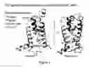 Fig. 02 - Methods for screening voltage-gated proteins