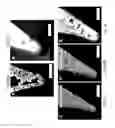 Fig. 06 - Nanoantenna scanning probe tip, and fabrication methods