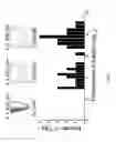 Fig. 11 - Nanoantenna scanning probe tip, and fabrication methods