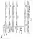 Fig. 02 - Cable load transfer apparatus and methods for seismic data acquisition