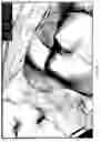 Fig. 08 - Interactive salt model modification