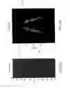 Fig. 20 - Marine surveys conducted with multiple source arrays