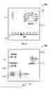 Fig. 07 - Security scanning device