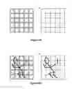 Fig. 12 - Microlens array system with multiple discrete magnification