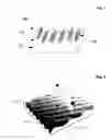Fig. 02 - Polarized light emissive device