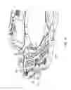 Fig. 16 - Actuator inside of motion control
