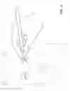 Fig. 09 - METHOD AND APPARATUS FOR DESIGN AND FABRICATION OF CUSTOMIZED EYEWEAR