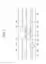 Fig. 04 - Liquid crystal display