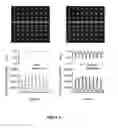 Fig. 04 - Structured illumination microscopy utilising acousto-optic deflectors