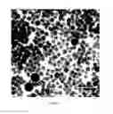 Fig. 02 - Toner additives comprising composite particles