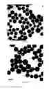 Fig. 09 - Toner additives comprising composite particles