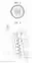 Fig. 02 - Developing member, process cartridge and electrophotographic image forming apparatus