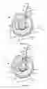 Fig. 04 - Bi-directional spring brake for a photoductive drum