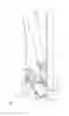 Fig. 03 - Sheet feed apparatus and image forming apparatus having the same