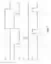 Fig. 07 - Sheet conveyance apparatus