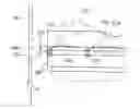 Fig. 01 - Image forming apparatus having developing device movable between first position close to drum and second position far from drum