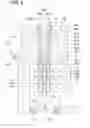 Fig. 04 - Pressure regulating valve