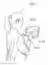 Fig. 01 - Haptic feedback generation