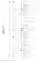 Fig. 14 - Display panel having built-in touchscreen and touch display device including the same