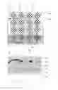 Fig. 08 - Organic light-emitting display panel and fabrication method thereof
