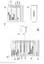 Fig. 06 - Determining Image Captions