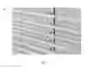Fig. 08 - Methods and systems of large scale video display