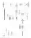 Fig. 10 - Structural representation of generic type variable in a nominally typed virtual machine