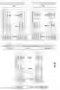 Fig. 35 - Maintaining a desired number of storage units
