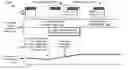Fig. 01 - Non-blocking database table alteration