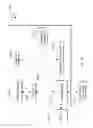 Fig. 11 - Dynamic directory of objects based on logical attributes