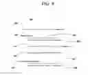 Fig. 05 - Synchronizing HTTP requests with respective HTML context