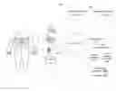 Fig. 01 - SHARING CONTINUOUS GLUCOSE DATA AND REPORTS