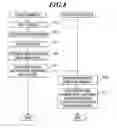Fig. 09 - MEDICAL INFORMATION MANAGEMENT SYSTEM AND MANAGEMENT SERVER