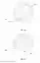 Fig. 06 - Method and apparatus for subject identification