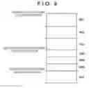 Fig. 09 - Convolution operation apparatus