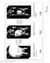 Fig. 28 - Intelligent multi-scale medical image landmark detection