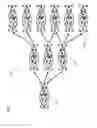 Fig. 04 - Tunable optical neuromorphic network