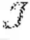 Fig. 05 - Analyzing behavior in light of social time