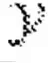 Fig. 08 - Analyzing behavior in light of social time