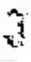 Fig. 19 - Analyzing behavior in light of social time