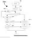 Fig. 01 - Systems and methods for implementing structured asynchronous and synchronous group interaction with automatic assistance over user selected media