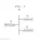 Fig. 10 - METHOD AND APPARATUS FOR CONSTRUCTING INFORMATION ABOUT LOCATION OF DISPLAYED COMMODITY