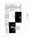 Fig. 04 - Viewpoint recognition in computer tomography images