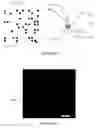 Fig. 05 - Nanoarray-in-microarray multiplexed analysis methods and systems